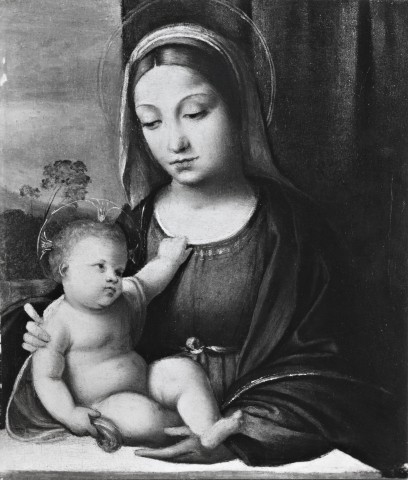 Anonimo — Tisi Benvenuto - sec. XVI - Madonna con Bambino — insieme